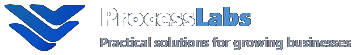 ProcessLabs, practical solutions for growing businesses